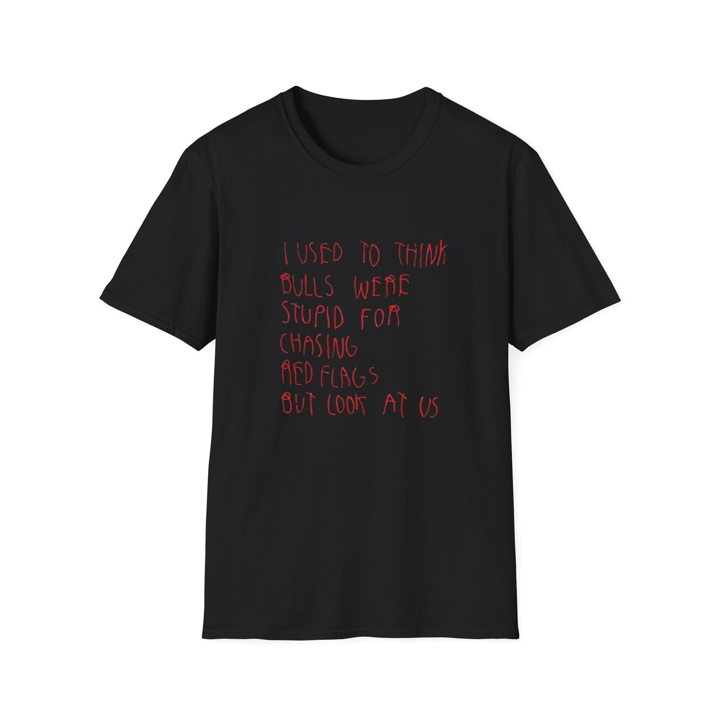 I USED TO THINK BULLS WERE STUPID FOR CHASING RED FLAGS T-SHIRT