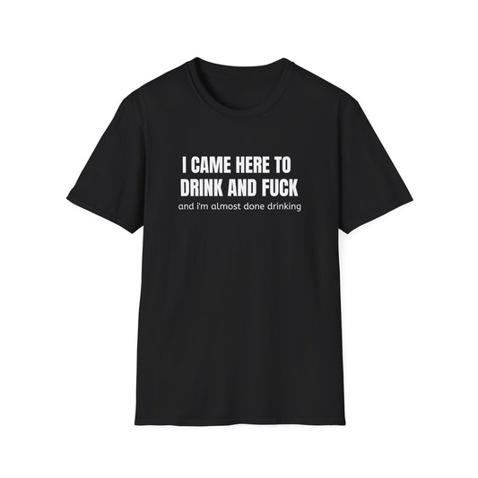 I CAME HERE TO T-SHIRT